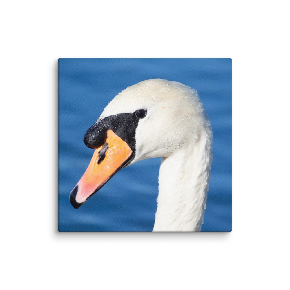 Prints Store Preview